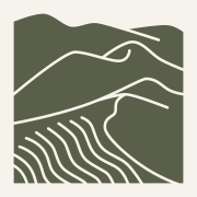 Logo De Duinpot, een duinlandschap in lijntekening